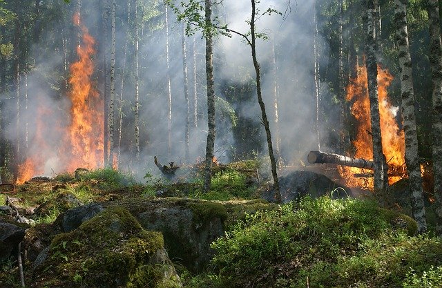 22 kwietnia sytuacja w wąwozie Pełcznicy stała się poważna